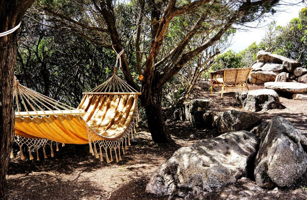 Villa Elena B&B Experience Santa Teresa Gallura Εξωτερικό φωτογραφία